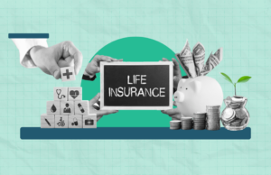 A Comprehensive Guide to Life/Term Insurance in India