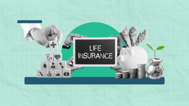 A Comprehensive Guide to Life/Term Insurance in India