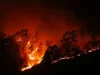 All About Los Angeles Wildfires: Devastation, Facts, and What’s Next forest fire