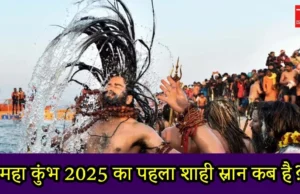 Navigating the Maha Kumbh 2025: Essential Tips for First-Time Foreign Visitors mahakumbh