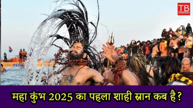 Navigating the Maha Kumbh 2025: Essential Tips for First-Time Foreign Visitors mahakumbh