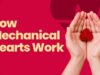 Human Heart Beats with the Help of a Machine: How Mechanical Hearts Work How Mechanical Hearts Work