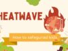 Protecting Kids During a Heatwave: Simple Safety Tips