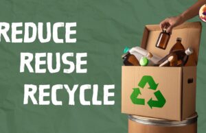 How to Reduce Plastic Waste in Your Daily Life How to Reduce Plastic Waste in Your Daily Life