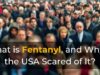 What is Fentanyl, and Why is the USA Scared of It? What is Fentanyl, and Why is the USA Scared of It