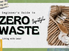 Simple Steps to Start a Zero-Waste Lifestyle