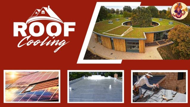 Roof Cooling Ideas for Summers Roof Cooling Ideas for Summers