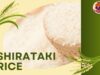 Shirataki Rice: The Zero-Calorie Wonder You Need to Try