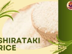 Shirataki Rice: The Zero-Calorie Wonder You Need to Try