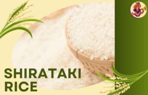 Shirataki Rice: The Zero-Calorie Wonder You Need to Try