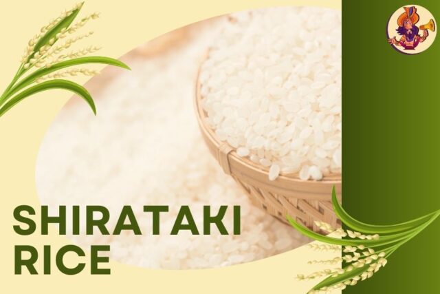 Shirataki Rice: The Zero-Calorie Wonder You Need to Try
